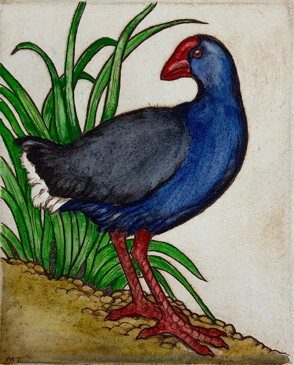 Pukeko